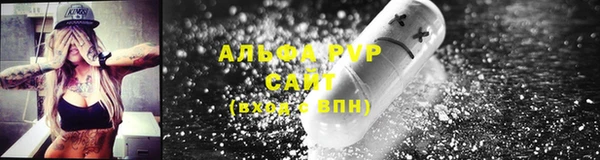 гидра Алексин
